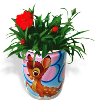 Can Flowers Carnation